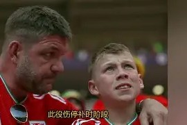 九州体育-威尔士逼平捷克，积分榜位置略微上升的简单介绍